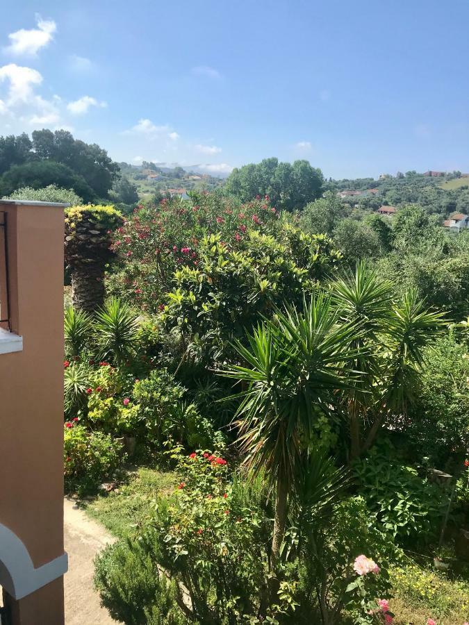 Floros Apartments Agios Stefanos Avliotes  Екстер'єр фото