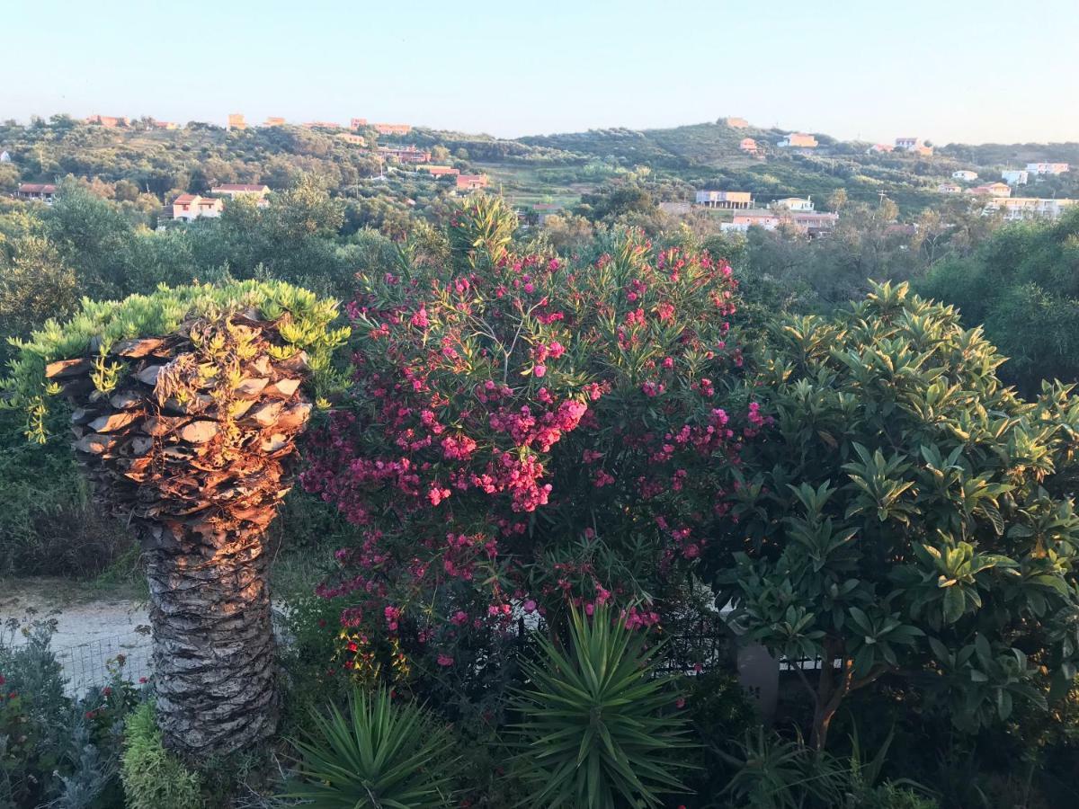 Floros Apartments Agios Stefanos Avliotes  Екстер'єр фото